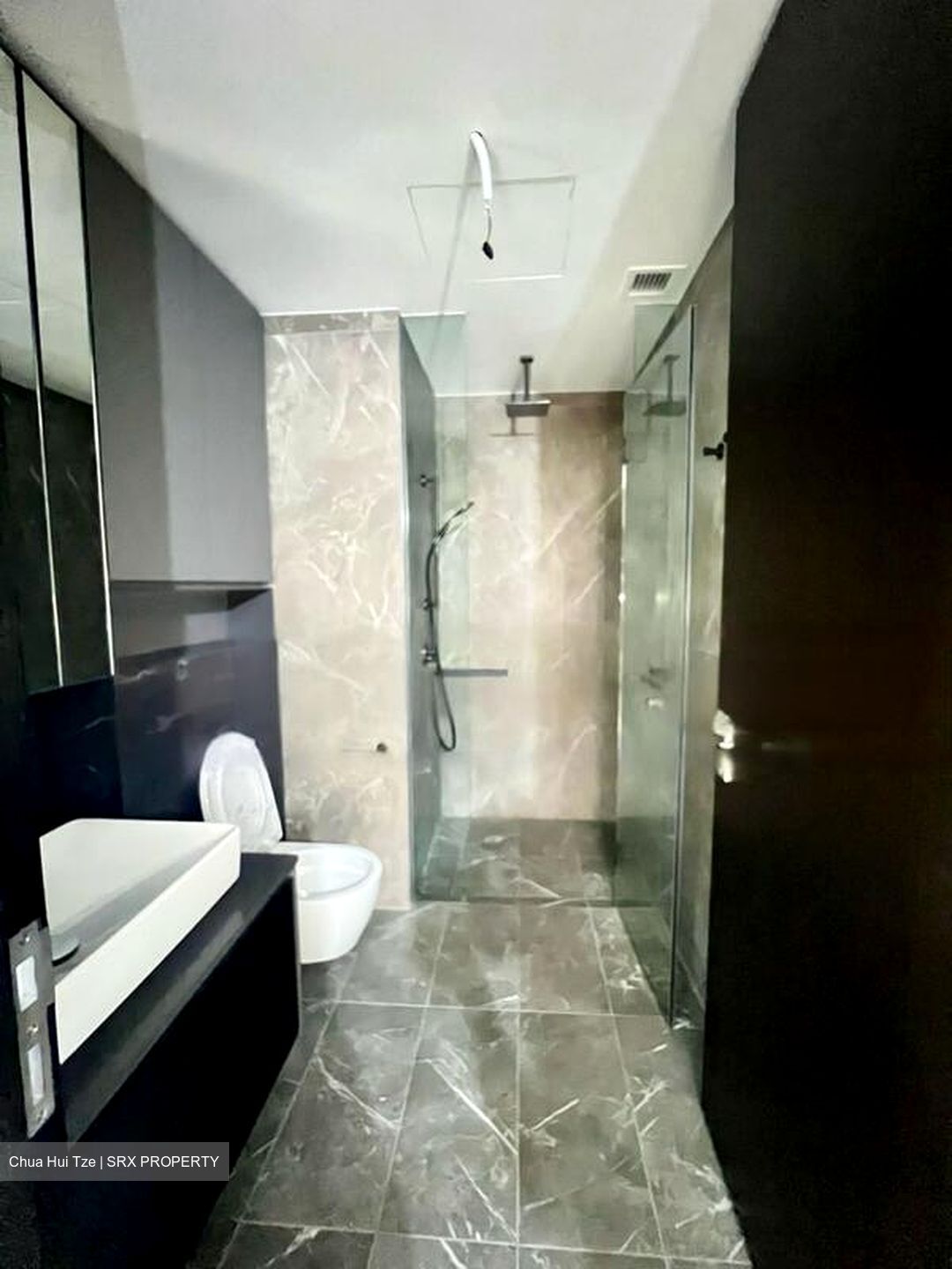 Irwell Hill Residences (D9), Apartment #455595041